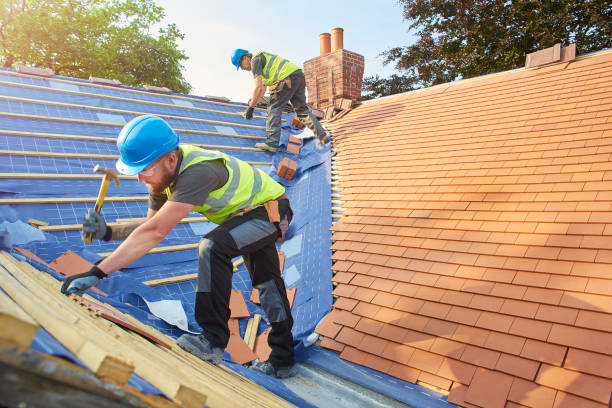 Best Roof Ventilation Installation  in Grenelefe, FL